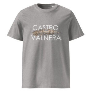 Castro Valnera